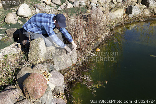 Image of cutting back on the pond