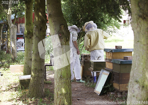 Image of Beekeepers in the Forest