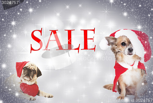 Image of pug santa claus cap heart