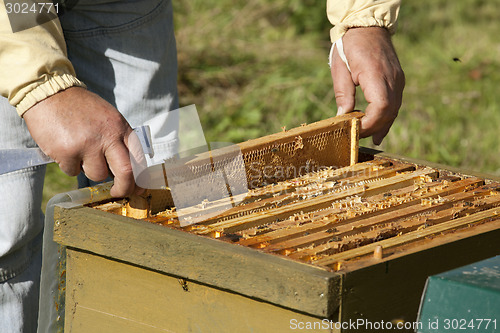 Image of honeycomb boxes are checked