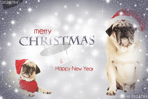 Image of two dogs merry christmas