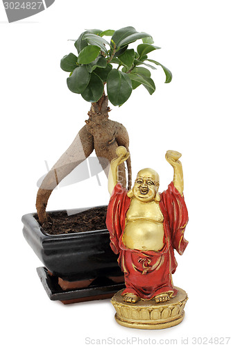 Image of Buddha and bonsai