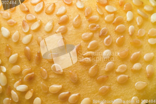 Image of Sesame seeds on a bun


