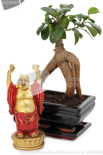 Image of Bonsai and buddha