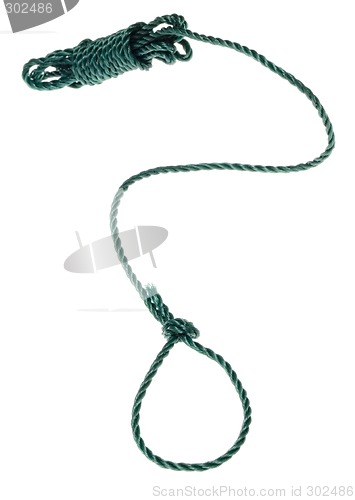 Image of Green nylon rope

