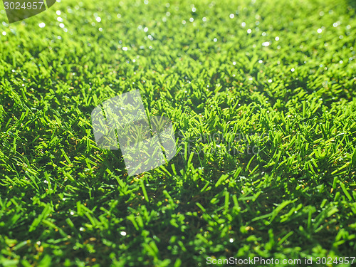 Image of Artificial grass