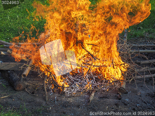 Image of Burning fire