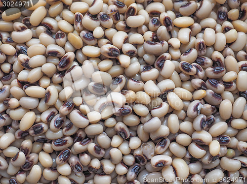 Image of Beans salad