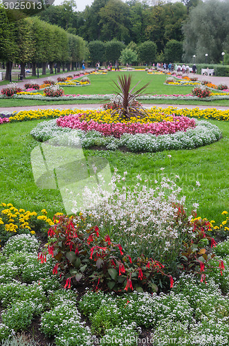 Image of Beautiful flower bed in park