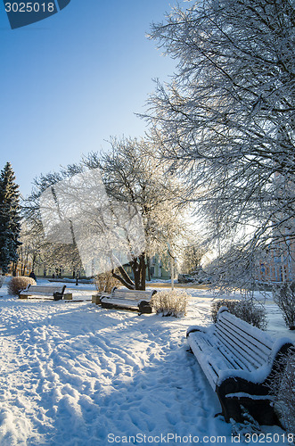 Image of A beautiful city park with trees covered with hoarfrost