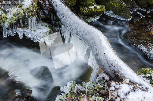 Image of Frozen icicles on water flow