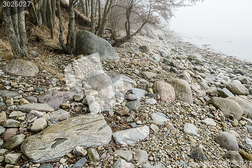 Image of Stony coast of Baltic sea in a fog