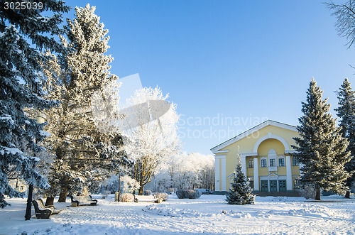 Image of A beautiful city park with trees covered with hoarfrost