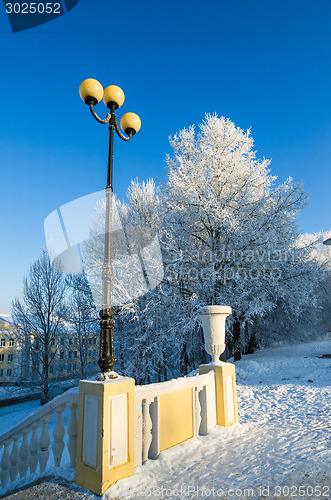 Image of A beautiful city park with trees covered with hoarfrost