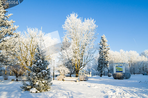 Image of A beautiful city park with trees covered with hoarfrost