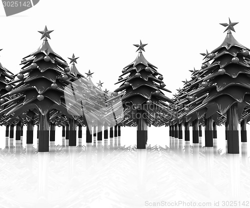 Image of Christmas trees