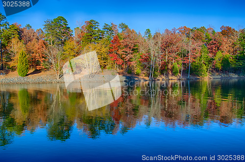 Image of Autumn Landscape. Park in Autumn. The bright colors of autumn in