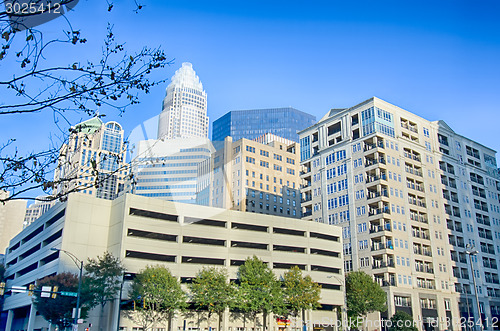 Image of autumn in charlotte city qc of north carolina