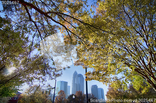 Image of autumn in charlotte city qc of north carolina