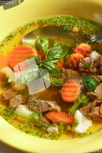 Image of Vegetable soup with meat