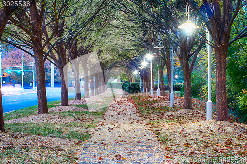 Image of Autumnal alley in the park along the road