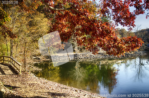 Image of Autumn Landscape. Park in Autumn. The bright colors of autumn in