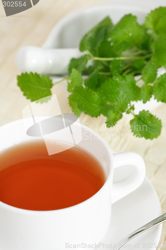 Image of Mint tea