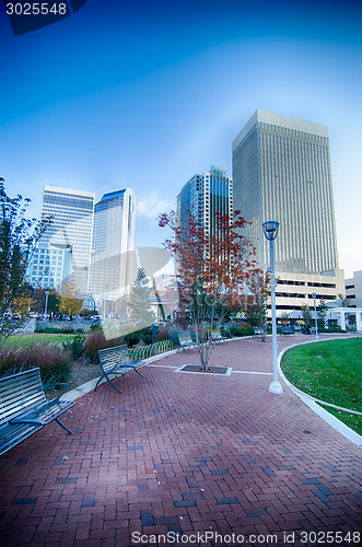 Image of autumn in charlotte city qc of north carolina