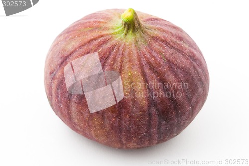 Image of Fig isolated
