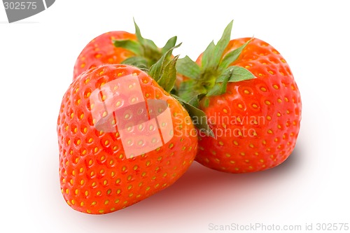 Image of Three ripe strawberries isolated