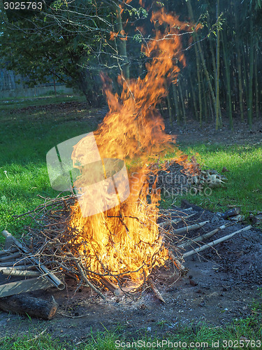 Image of Burning fire