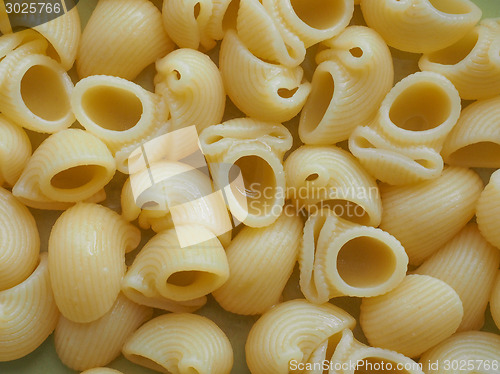 Image of Lumache pasta food