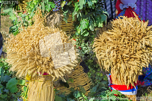 Image of Two sheaf of wheat , barley, rye on the background of green leav