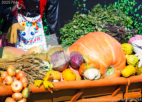 Image of Harvest vegetables sold at the fair