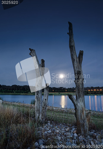 Image of Moonlight lakeside