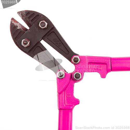 Image of Close-up of a pair of boltcutters