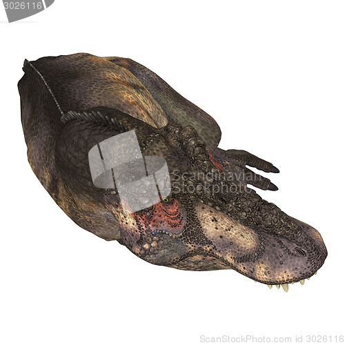 Image of Dinosaur Tyrannosaurus