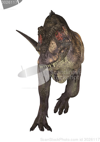 Image of Dinosaur Tyrannosaurus