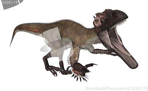 Image of Dinosaur Utahraptor