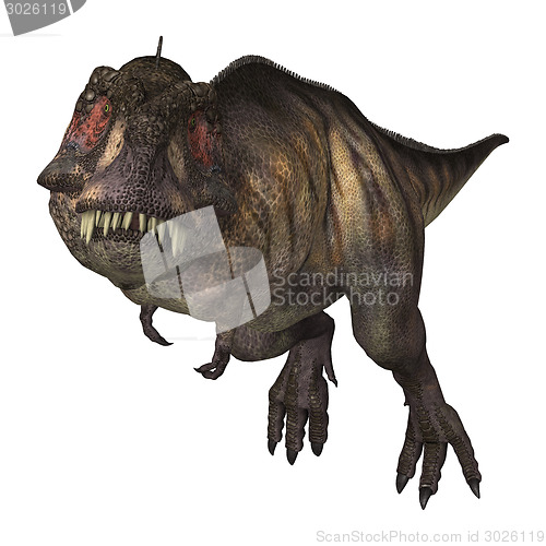 Image of Dinosaur Tyrannosaurus