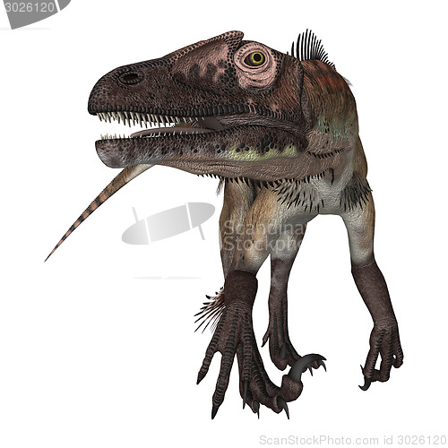 Image of Dinosaur Utahraptor