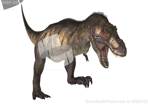 Image of Dinosaur Tyrannosaurus