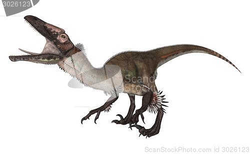 Image of Dinosaur Utahraptor