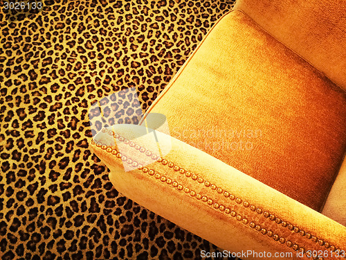 Image of Orange velvet armchair on leopard carpet