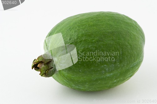 Image of Feijoa