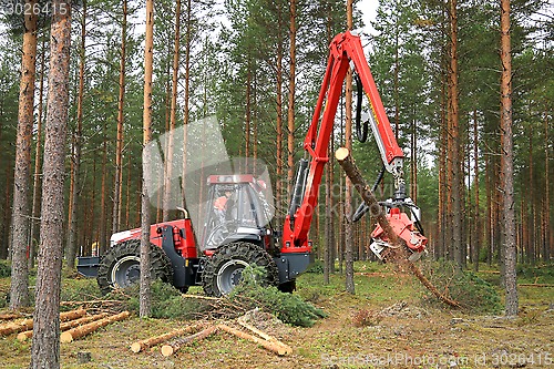 Image of Nisula N5 Harvester at Work Demo