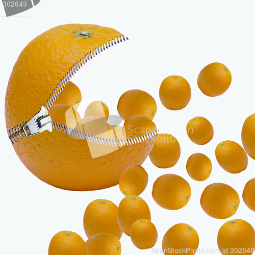 Image of many oranges