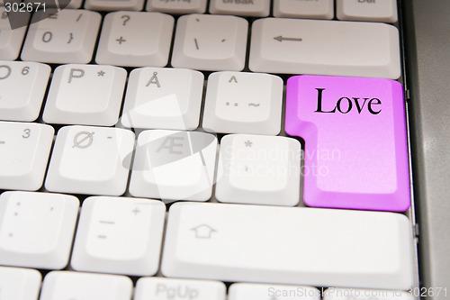 Image of love on web