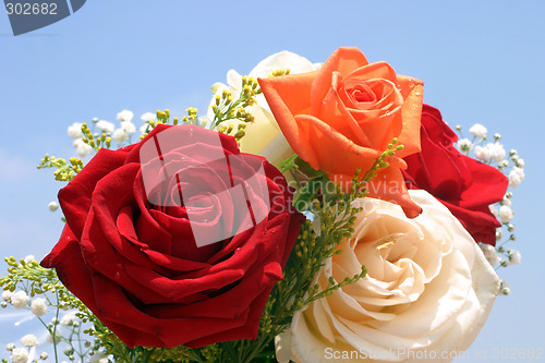 Image of Roses