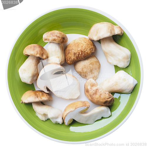 Image of Porcini Mushroom